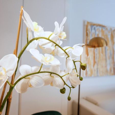 Tirso Suite Мадрид Экстерьер фото